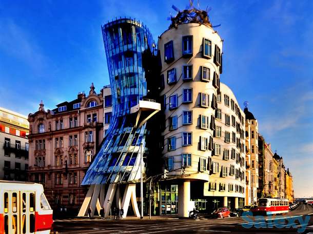 Виза в Чехию, фотография 2