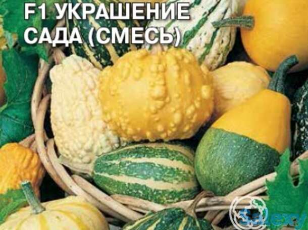 Семена Тыква Украшение Сада F1 (смесь) декорат., фотография 1