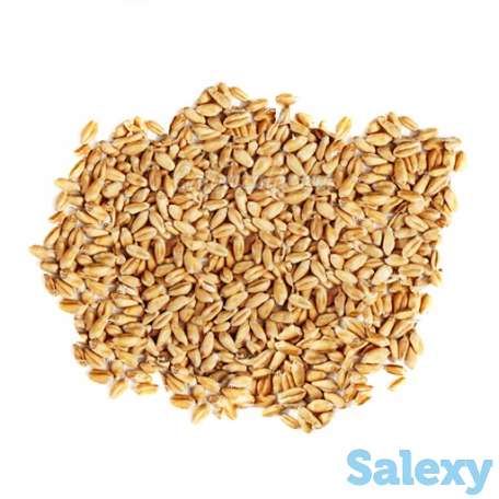 Производство и оптовая продажа высококачественной крупы, фотография 2