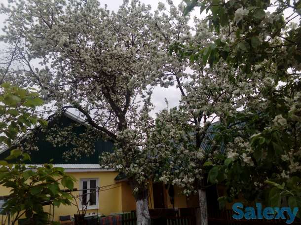 Продаю дом в г,Самара, Самарская обл, Красноярский р-н ПГТ Новосемейкино, фотография 3