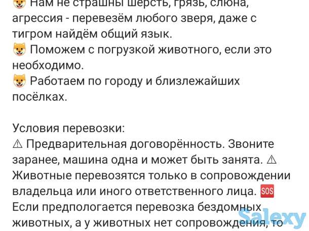 Зоотакси в Нур-Султане, фотография 3