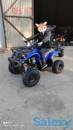 Квадроциклы 50,110,125,250сс, фотография 11
