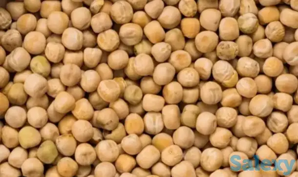 Горох фуражный, фотография 2