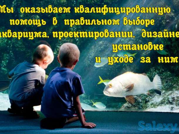 Аквариумы (биотопы). Дизайн, Изготовление, Обслуживание, Уход., фотография 6