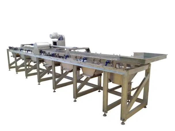 Оборудование ДО и ПОСЛЕ сушки фруктов и овощей, фотография 4