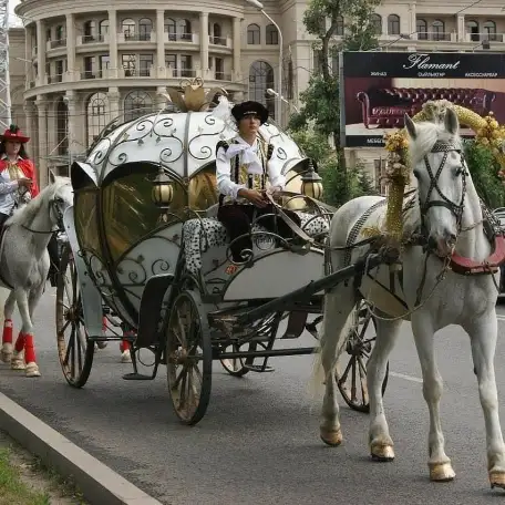 Сани кареты, фотография 6