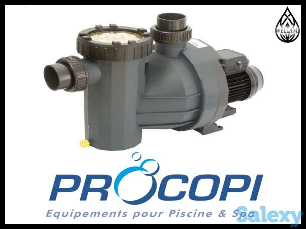 Насосы Procopi c префильтром для бассейна, фотография 1
