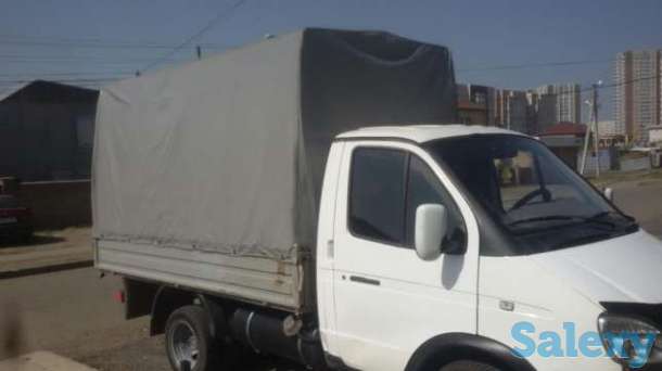 Газель, фотография 1