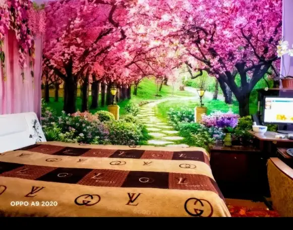 Продам лошадей и дом, ж/д станция Сокыр, фотография 5