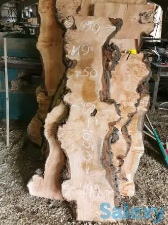 Слэбы от производителя из дуба, шпальтового бука, капового тополя, вербы, капового карагача, ясеня., фотография 1