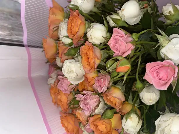 Продам цветы по цене одного, фотография 6