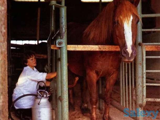 Продам доильный аппарат для коней, фотография 1