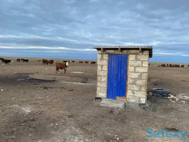 Продам крестьянское хозяйство в 100 км от Уральска, фотография 11