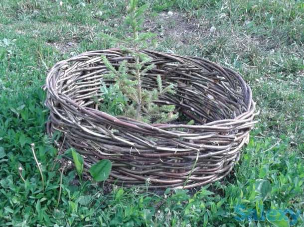 Плетеная мебель из лозы, фотография 11