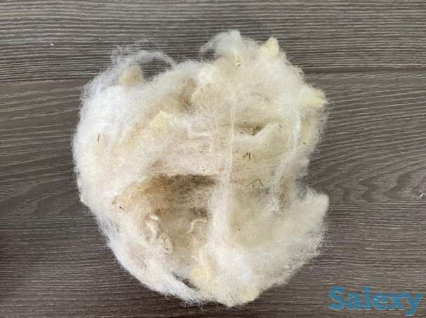 Шерсть овечья, фотография 1