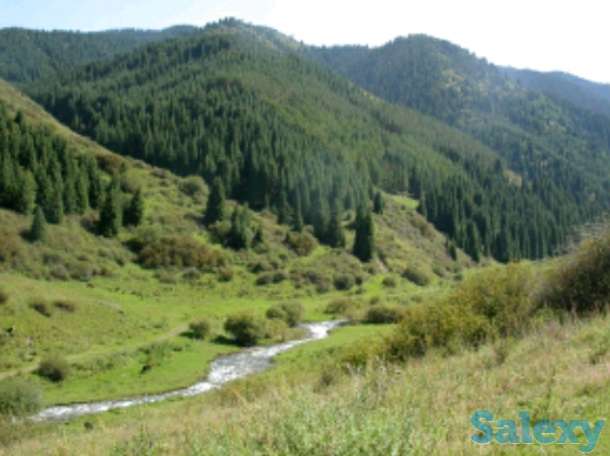 Саумал туры, фотография 4