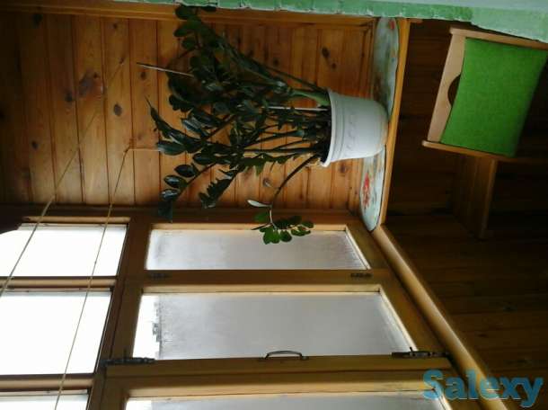 2-комн. квартира. Торг, возможна ипотека, фотография 2