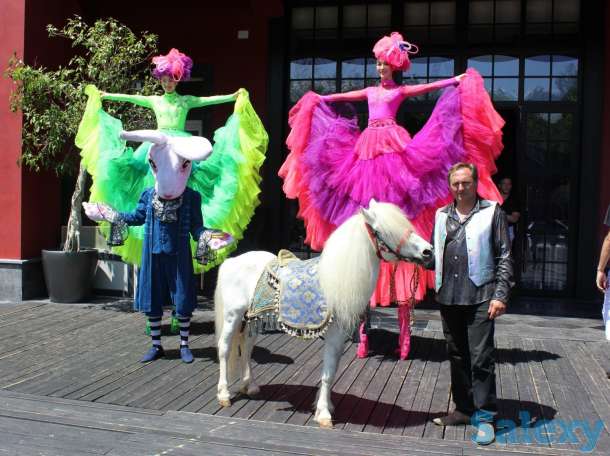 аренда пони, лошади, фотография 6