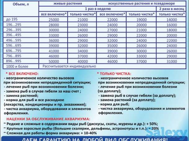 Аквариумы (биотопы). Дизайн, Изготовление, Обслуживание, Уход., фотография 5