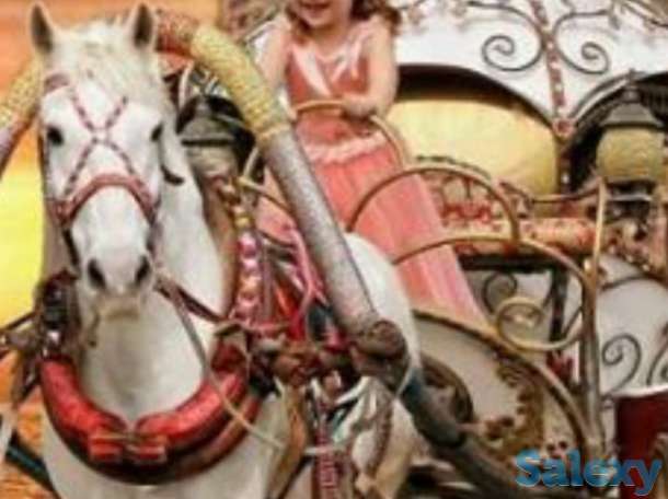 карета в Алматы, фотография 2