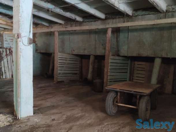 Производственная база. Овощехранилище. СДЕЛАЕМ СКИДКУ ДЛЯ РЕАЛЬНОГО ПОКУПАТЕЛЯ!, фотография 12