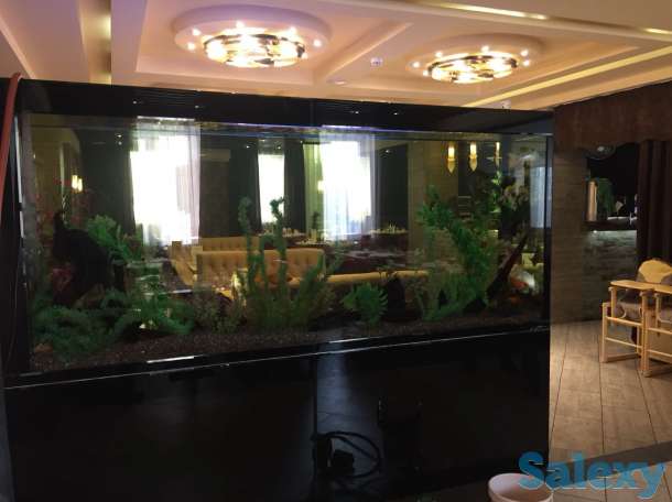 Обслуживание и изготовление аквариумов, фотография 3