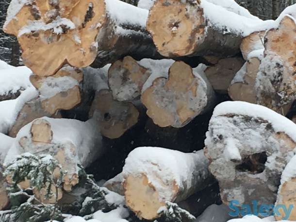 Продам хлыст пихтача, пиломатериал, кругляк лес круг, фотография 1