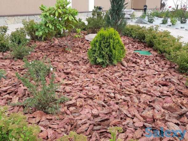 Кора сосновая в мешках 60 литров свежая Алматы купить, фотография 10