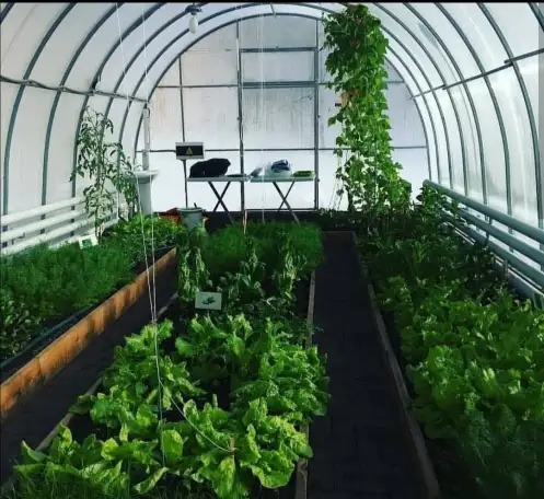 Теплицы с покрытием сотовый поликарбонат, фотография 1