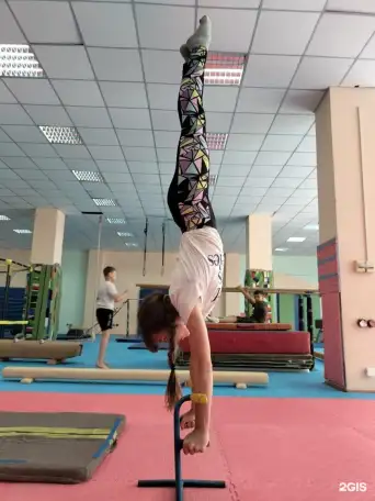 Гимнастика для мальчиков и девочек от 3 лет и старше, фотография 2