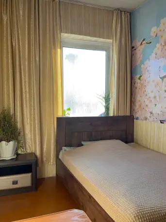 Продам уютный двор в черте города, Ул. Бажова д.163А, фотография 7