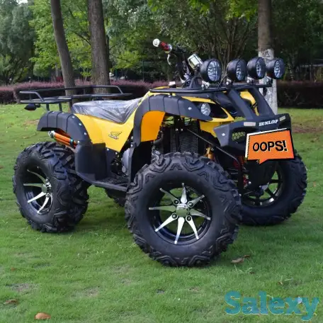 Квадроцикл 250 сс (Большой), фотография 1