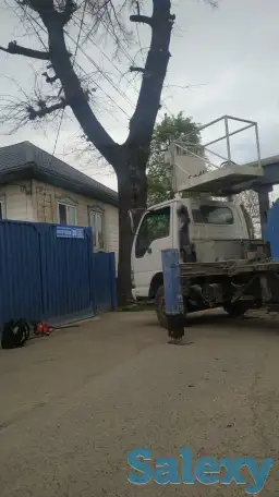 Спил деревьев по городу Алматы и Алматинской области, фотография 1