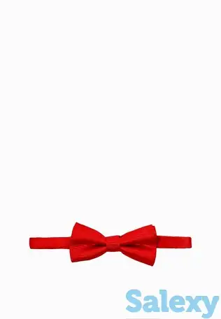 Бабочка sela, фотография 2