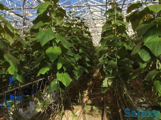 Работа в Польше, фотография 1