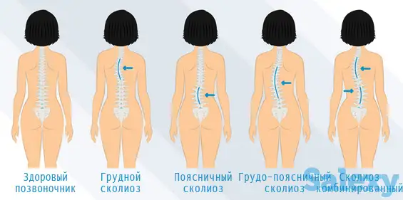 Лечебный массаж для позвоночника, фотография 1