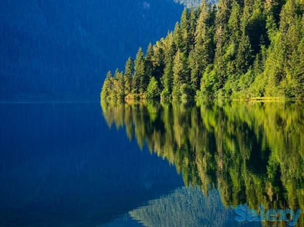 Услуги психолога, фотография 2