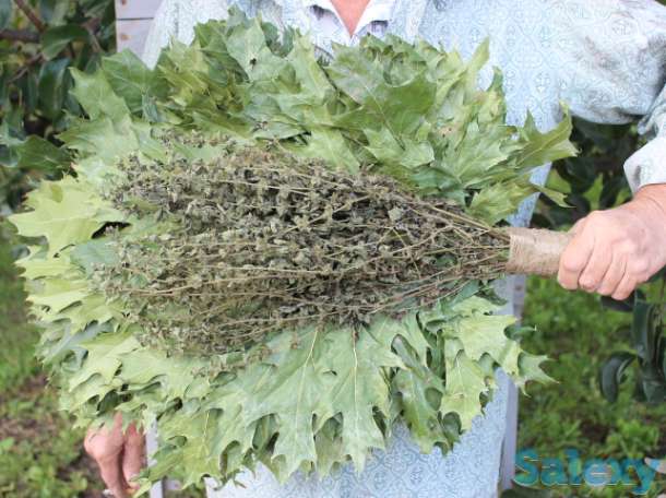 Премиальный Яр веник для бани - канадский дуб с мелиссой, фотография 5