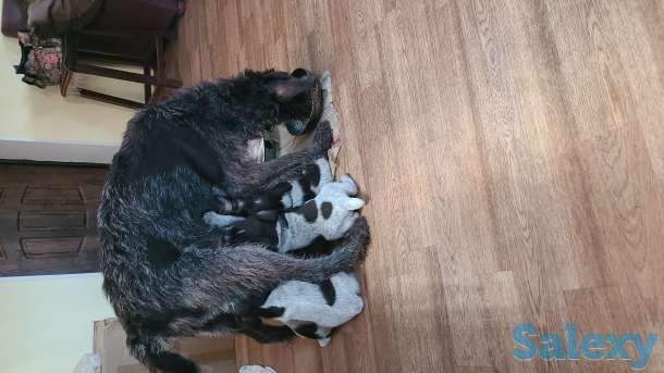 Продам, фотография 1