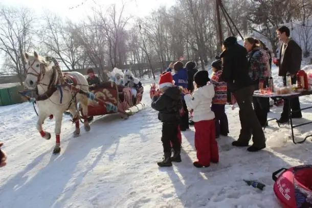 продам сани большие под лошадь, фотография 7