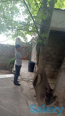 Услуги садовника и озеленение, фотография 8