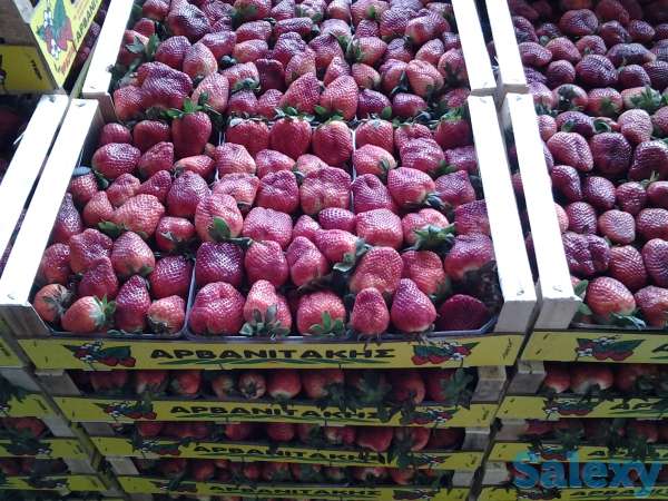 Клубника оптом и в розницу, фотография 4