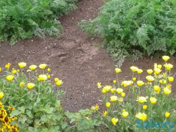 Продаю дом в п.Вольный Абайский р-он., фотография 7