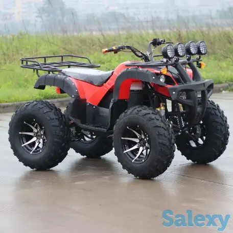 Квадроцикл 250 сс (Большой), фотография 4