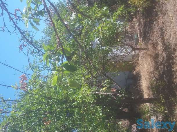 Срочно продам дачу по 4, фотография 2