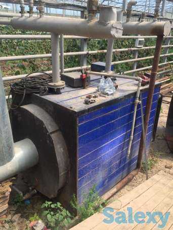 Теплица с выручкой от 6 млн. тенге в месяц!, фотография 3