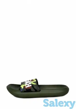 Сланцы t.taccardi, фотография 1