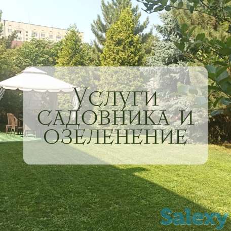 Услуги садовника и озеленение, фотография 3