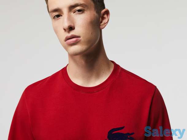 Мужская толстовка lacoste из хлопкового флиса, фотография 3