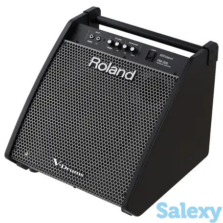 Перкуссионный монитор roland pm-200, фотография 1